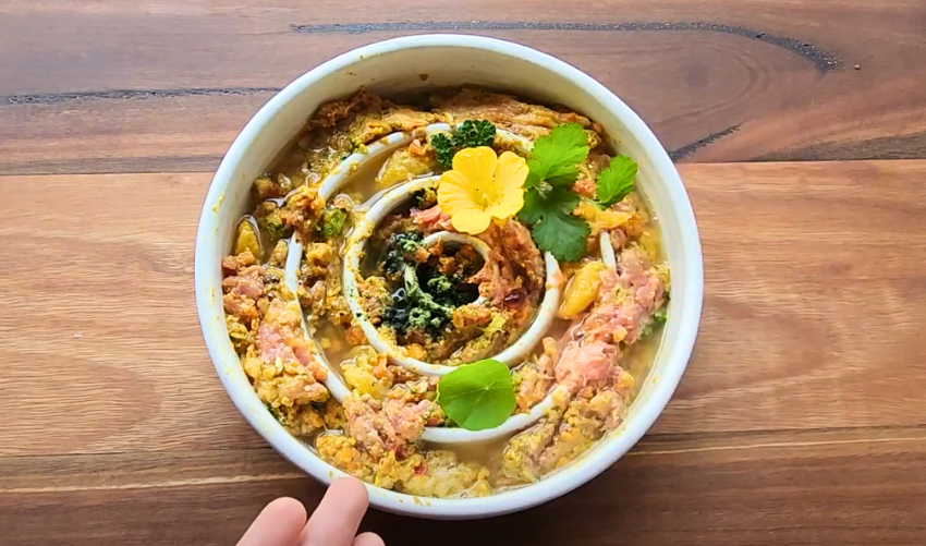 Best 7 Recipes for Raw Dog Food Diet photo