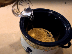 Easy Hypoallergenic Dog Recipe - Pour in the Water 2