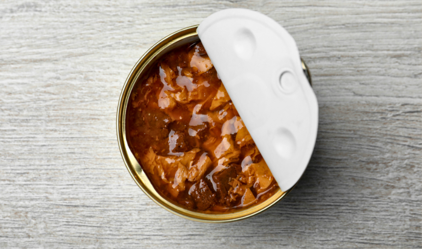 How Long Wet Dog Food Lasts at Room Temp photo