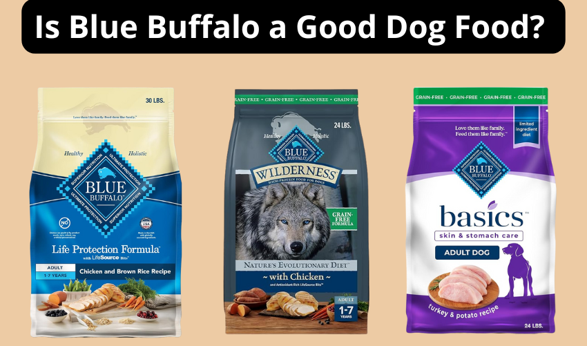 Is Blue Buffalo a Good Dog Food photo 1
