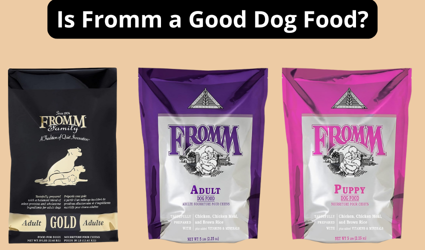 Is Fromm a Good Dog Food photo
