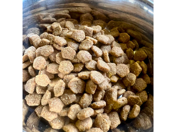 what does Fromm Dog Food look like