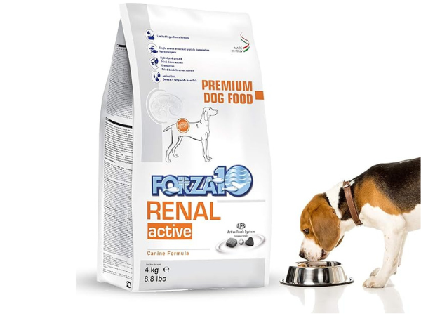 Forza10 Kidney Care Dog Food Dry 1