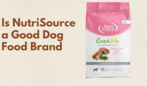 Is NutriSource a Good Dog Food Brand photo
