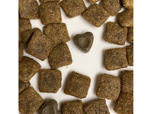 Low Phosphorus Dog Foods