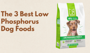 The 3 Best Low Phosphorus Dog Foods photo